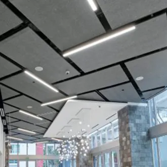 Gray ceiling tiles in office space with windows